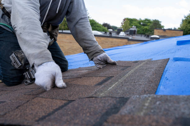 Quick and Trustworthy Emergency Roof Repair Services in Leisure Village East, NJ