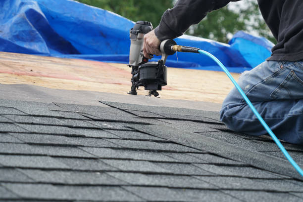 Best Roof Gutter Cleaning  in Leisure Village East, NJ