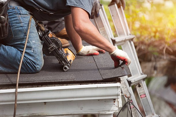 Best Roof Gutter Cleaning  in Leisure Village East, NJ